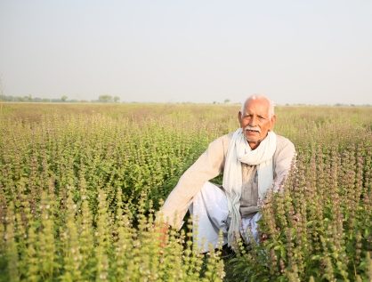 Fields in India