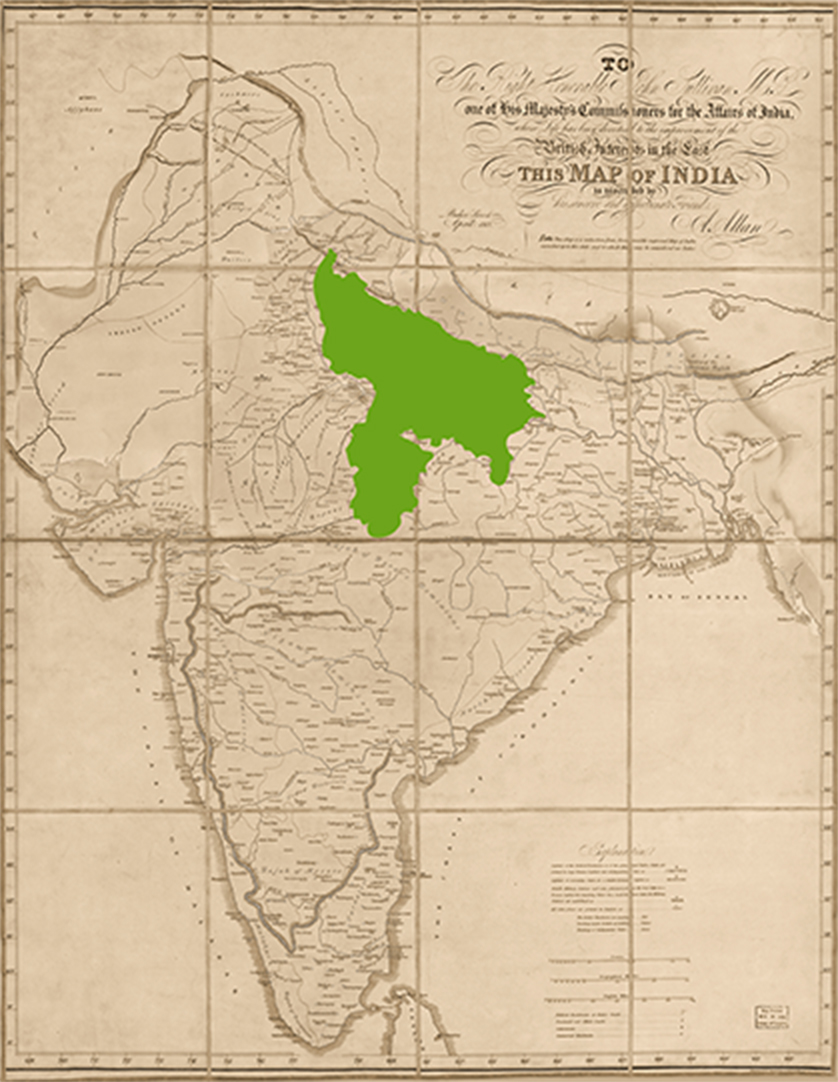 Map of India highlighting the Bundelkhand region where Moringa is grown.