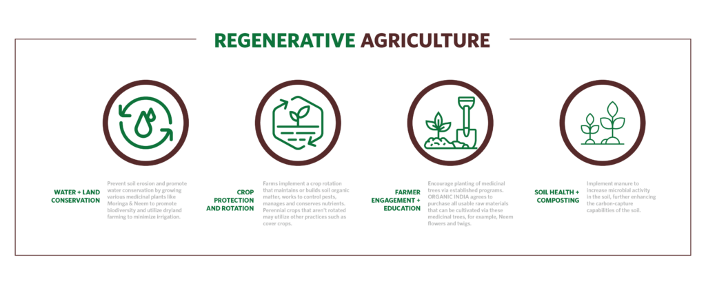 Regenerative Agriculture - Organic India