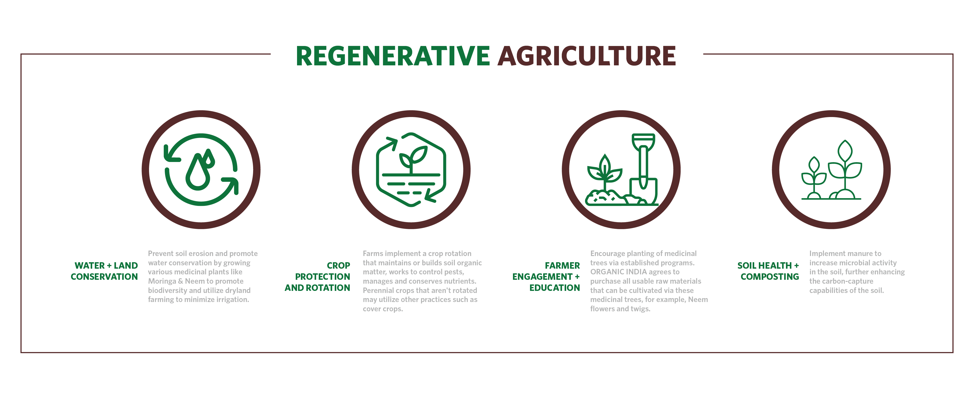 Pillars of regenerative agriculture infographic
