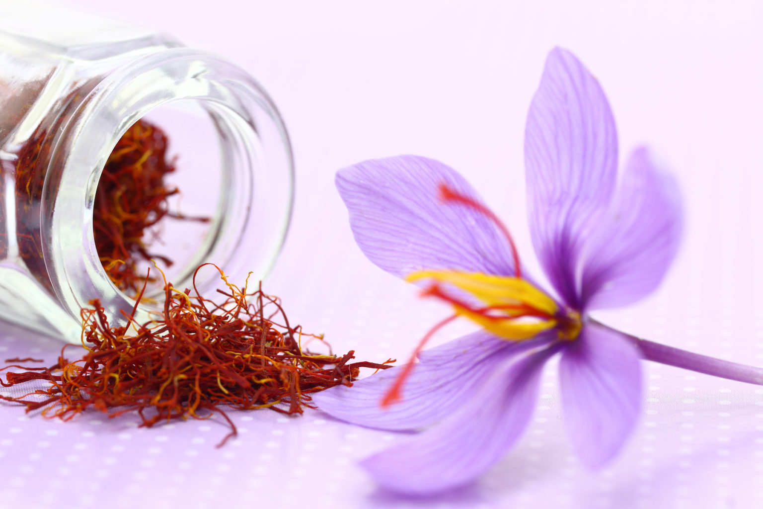 Golden Saffron - More than Just a Cooking Spice - Organic India