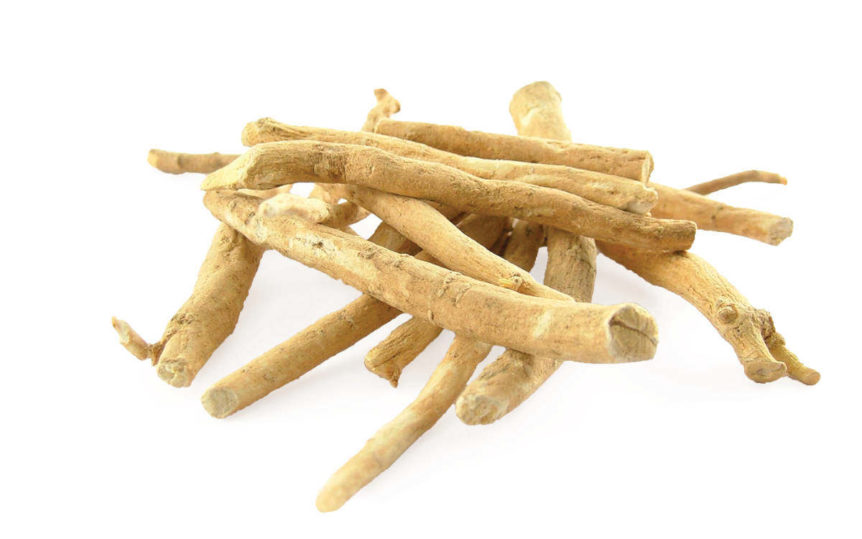 A pile of ashwagandha roots for immune support and recovery.