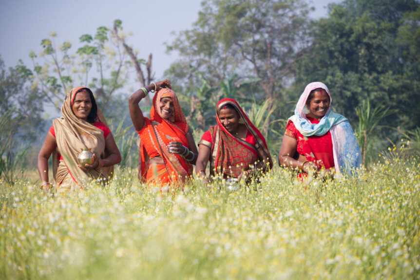 Women farmers in colorful saris laughing in chamomile field for herbal wellness