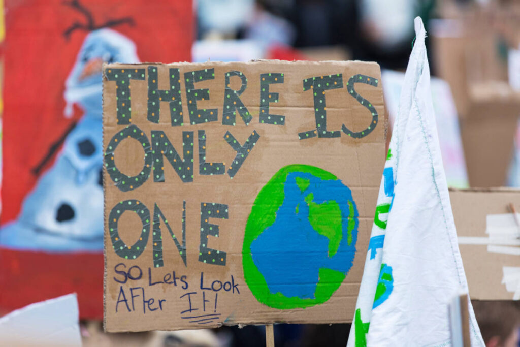 Climate week march with sign that reads There Is Only One Earth on brown box.