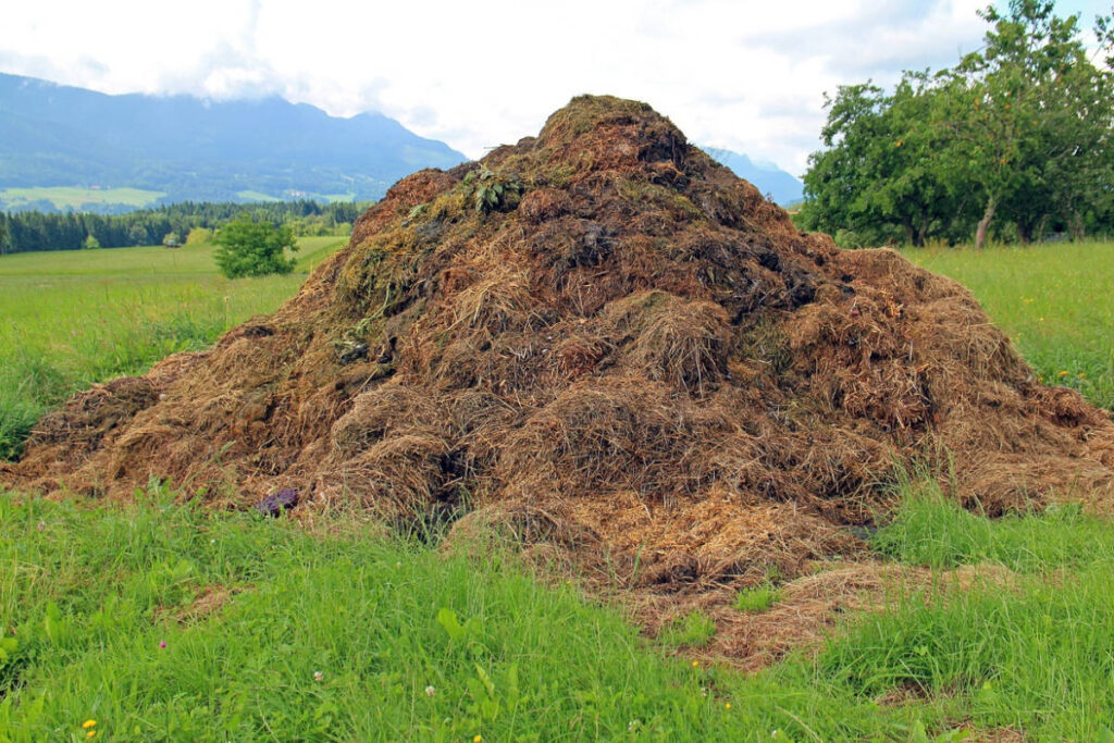 Compost pile in a green field with a mountainous backdrop.