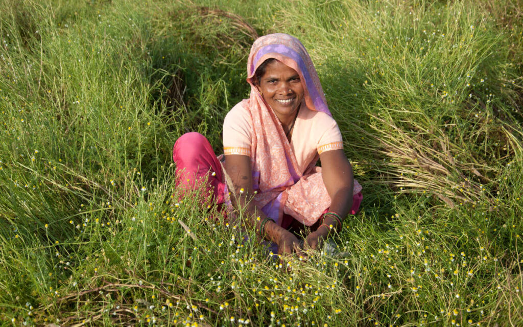 Indian woman in a lush Chamomile field with big smile working. 