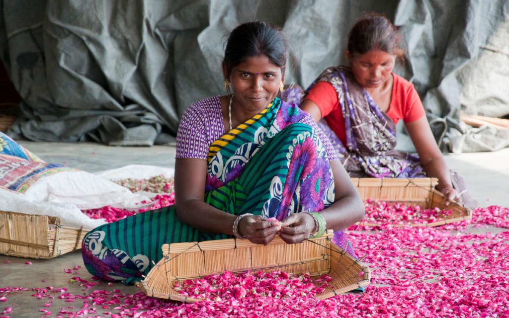 Women sorting fairtrade rose petals and smiling. 