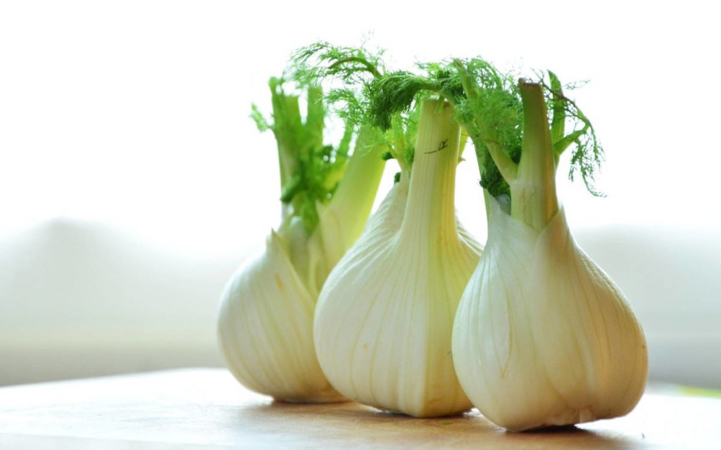 Three white bulbs of Fennel with greens at the top on a wooden cutting board.