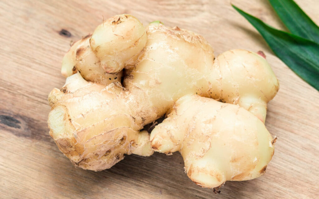 Whole ginger root herbs for metabolism 