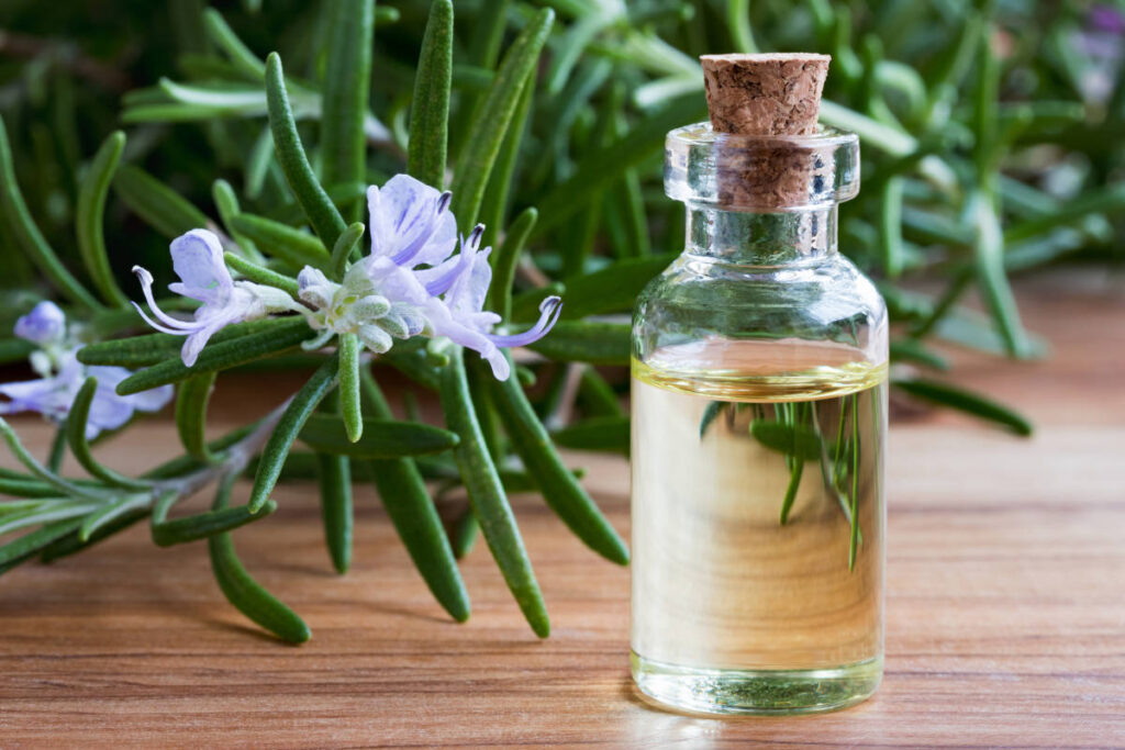 Rosemary tincture in a glass dropper jar with fresh rosemary on a wood table, an excellent supplement for circulation.
