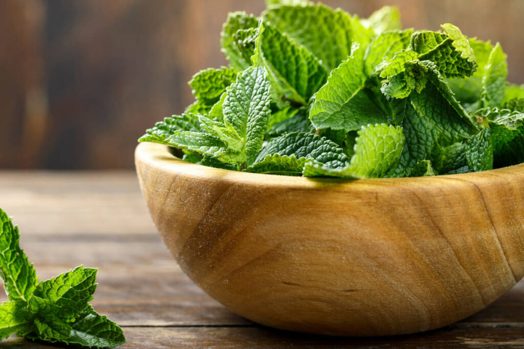 Mint, an herb for luck, in a wooden bowl on a wooden table.