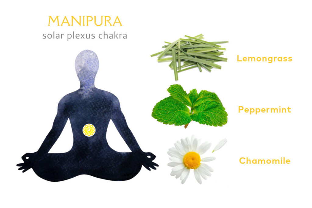 Meditating figure with solar plexus chakra marked at upper abdomen, and herbs for solar plexus chakra images including lemongrass, peppermint and chamomile.