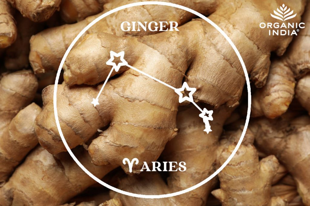 Herbs for the zodiac with ginger for aries sign