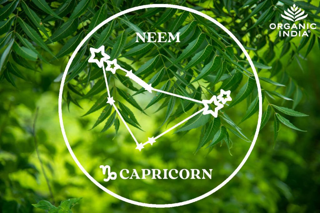 Neem herb for Capricorn