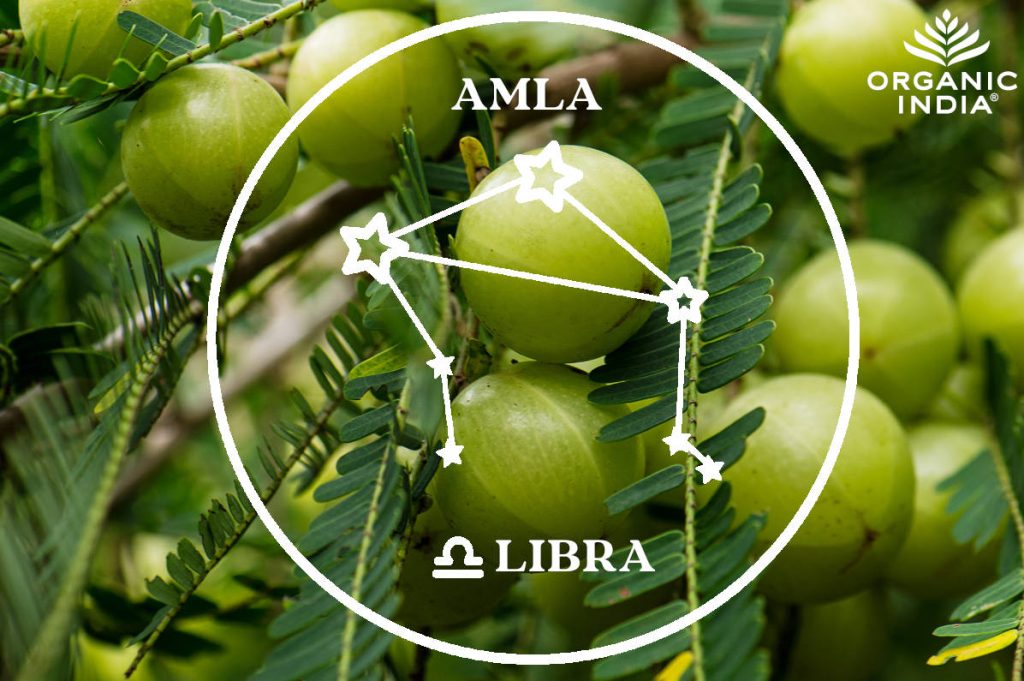 Amla for Libra