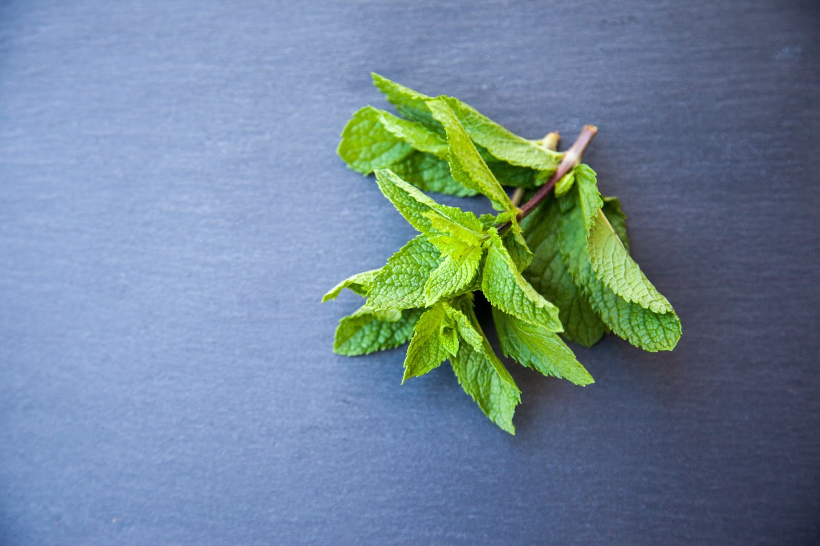Sprig of peppermint leaves for lung health on a blue table.