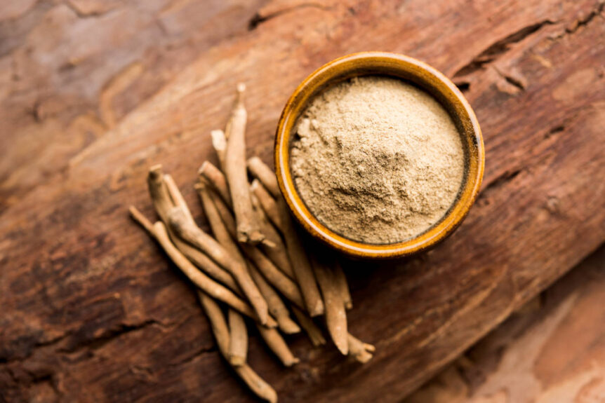 Indian ginseng, also known as Ashwagandha, powder and root on a wooden table.
