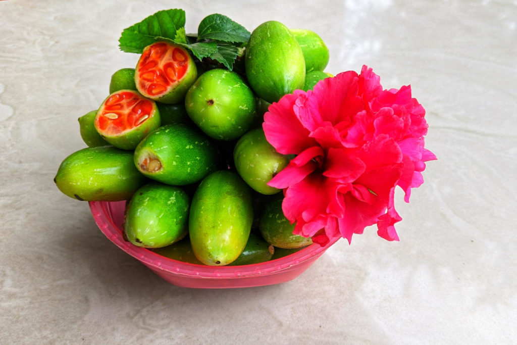 A bowl of whole and sliced ivy gourd with a flower for aesthetics.