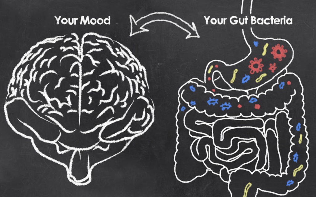 Diagram of mood and gut connection.