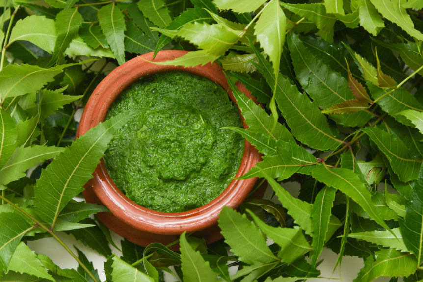 Neem powder in a terra cotta bowl surrounded by neem leaves for skin health.