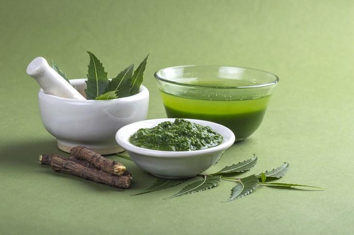 Neem for skincare neem paste, juice, twigs, leaves and mortar and pestle.
