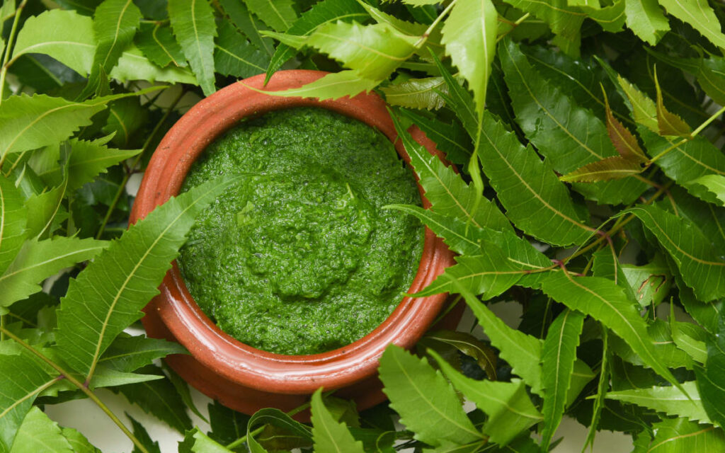Neem capsules benefits include neem paste and masks for skincare.