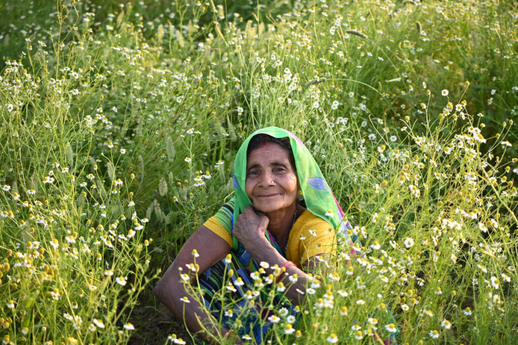 Old woman sitting a smiling in a lush field of chamomile blossoms.