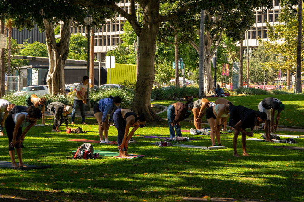 Yoga class on grass in the park for Flow for Black Lives