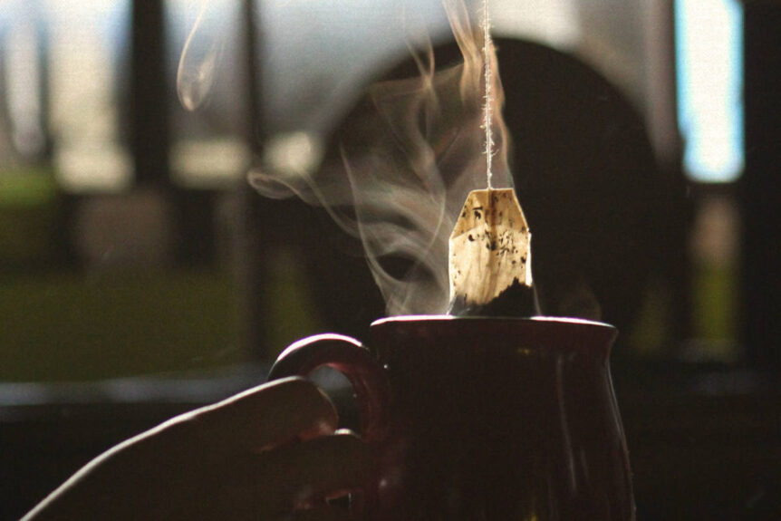 Microplastics in Tea Bags Is There Plastic in your Tea? Organic India