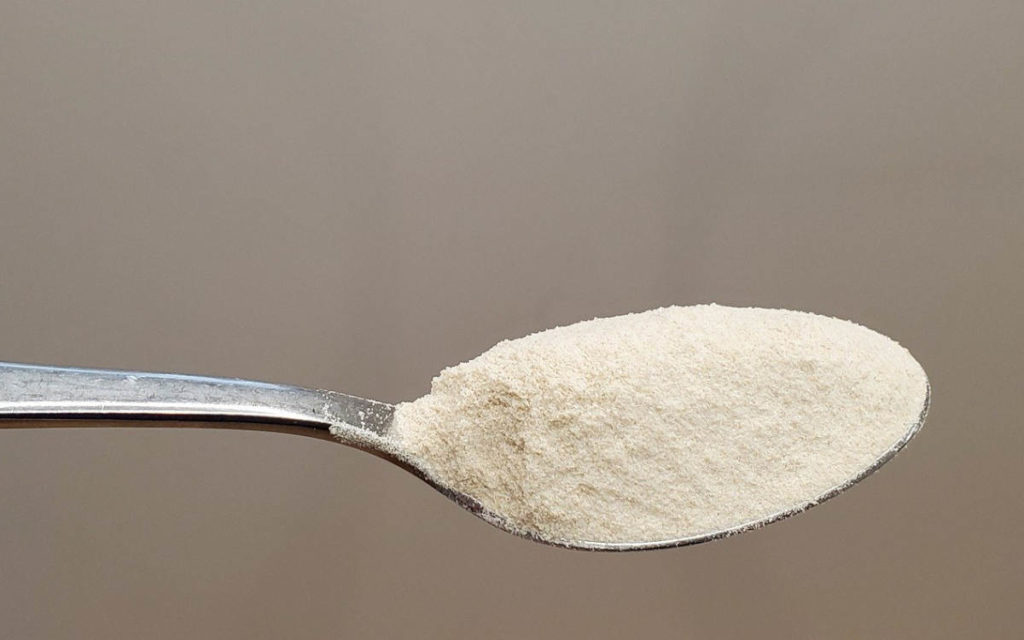 Psyllium husk powder on a silver spoon, for easy use in recipes and dissolution in water and juice. 