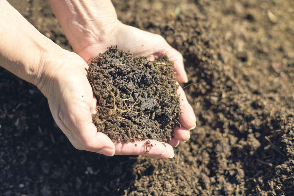 Regenerative gardening compost and soil health. 