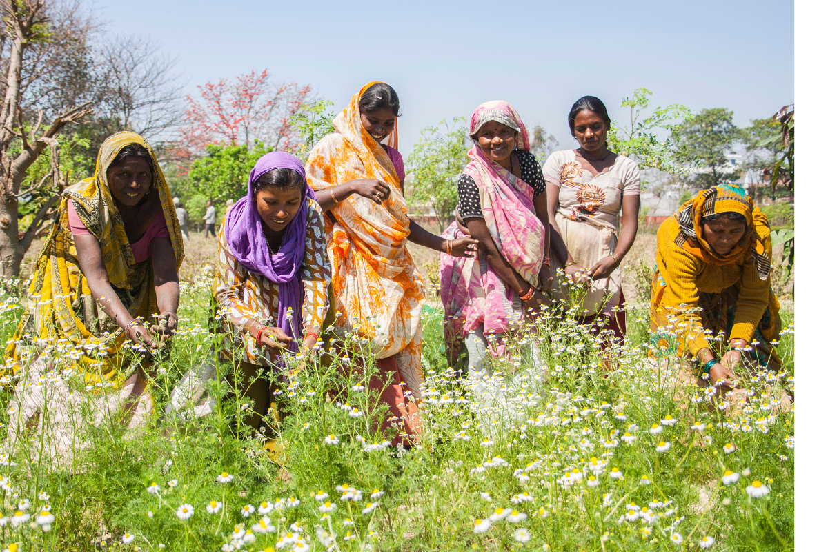 A Guide to Regenerative Gardening at Home Organic India
