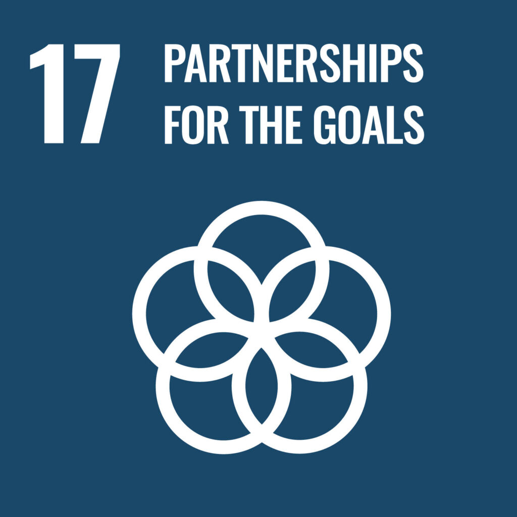 SDG icon 17