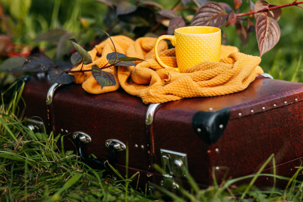 Teacup and tea towel on a suitcase in the grass