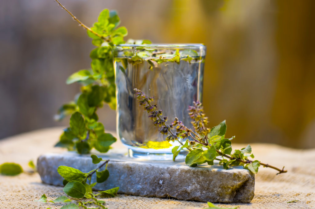 Clear glass overflowing with Tulsi leaves.