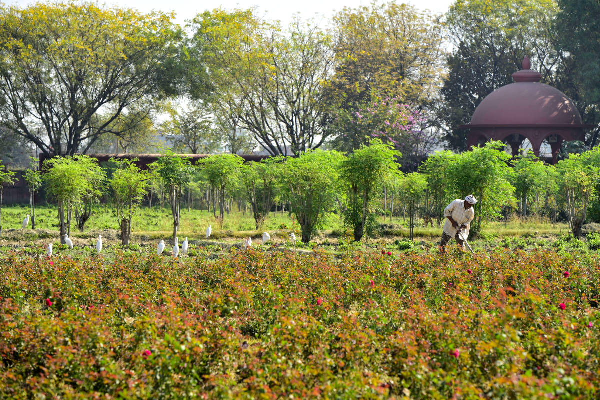 Water Conservation In Agriculture Top 10 Practices Organic India 