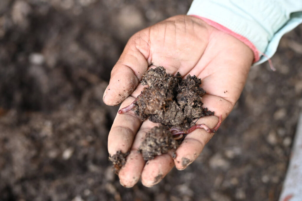 What is regenerative agriculture starts with healthy soil and composting. 