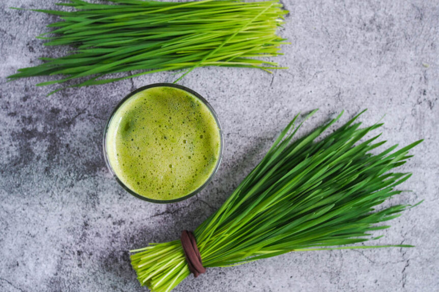 Moringa vs. Spirulina vs. Wheatgrass Super Green Rank Organic India